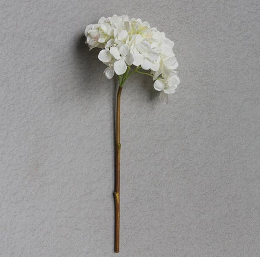 Hydrangea Blanc Stem